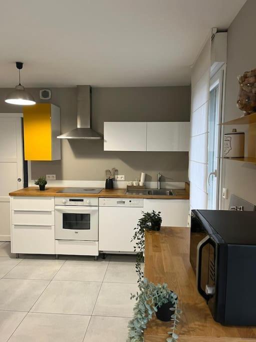 La Maison Du Bonheur 70 M² Saint-Amand-les-Eaux Zewnętrze zdjęcie
